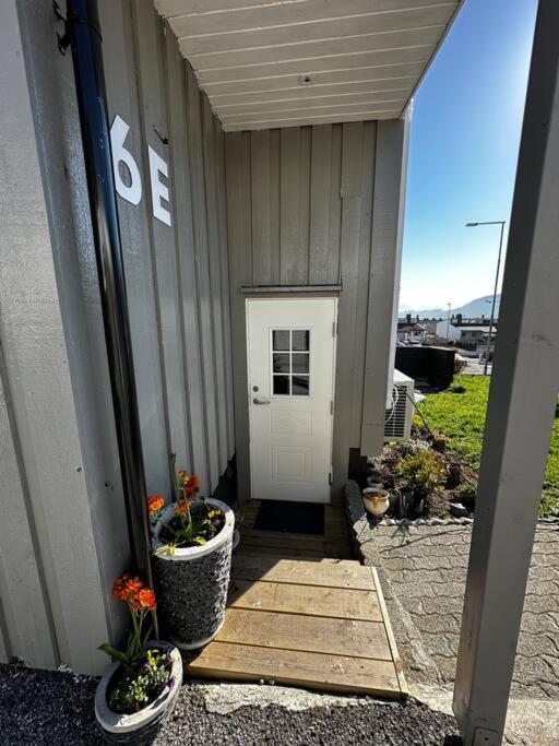 Basement Apartment With Parking Ålesund Esterno foto